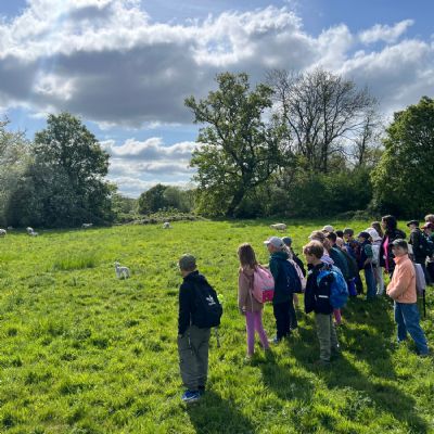 Class 3 trip to Tablehurst