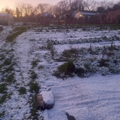 Winter Garden Photos