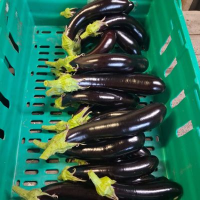 Market Garden Produce